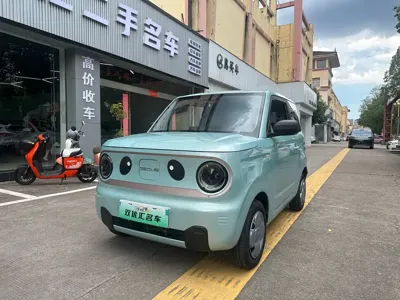 Galaxy Panda