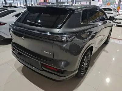 Aeolus 东风风神L8