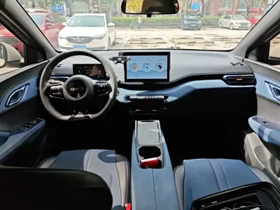 BYD Seagull