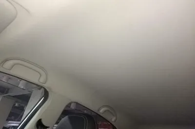 NETA V