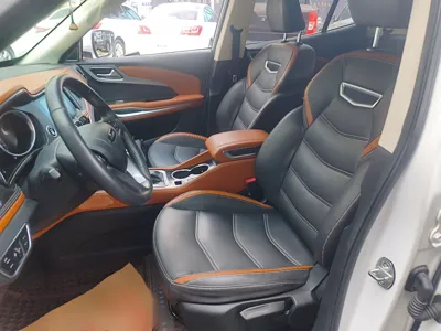 Zotye T300