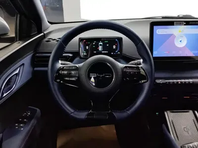 BYD Seagull