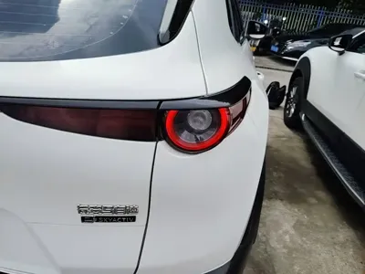 Mazda CX-30 EV