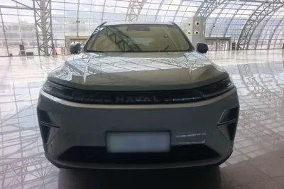 Haval Fierce Dragon Max