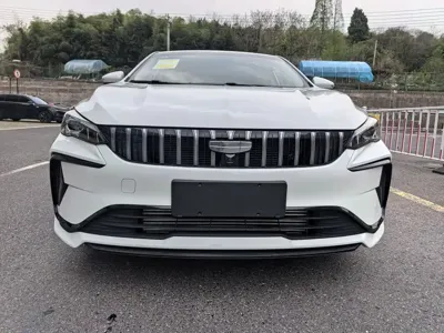 Geely Binrui
