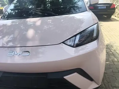 BYD Seagull