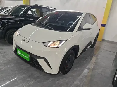 BYD Seagull