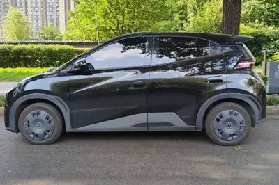 BYD Seagull