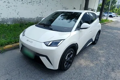 BYD Seagull