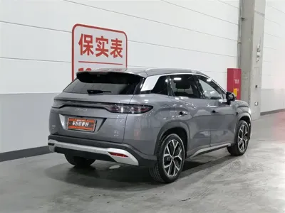 BYD L DM-i