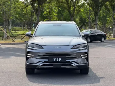 BYD PLUS New Energy