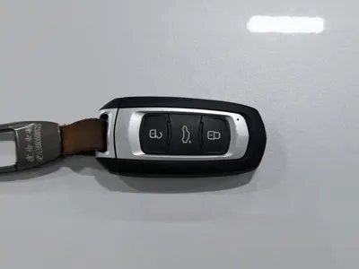 Geely Borui Hybrid