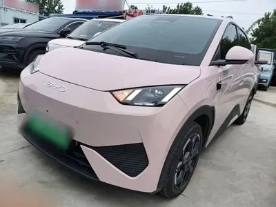 BYD Seagull