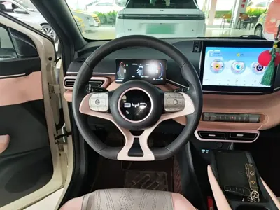 BYD Seagull
