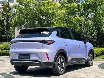 Wuling 缤果S