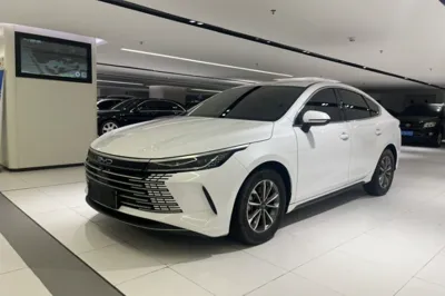 BYD Destroyer 05