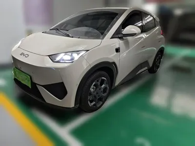 BYD Seagull