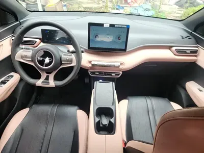 BYD Seagull