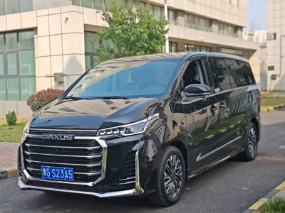 大通 G20