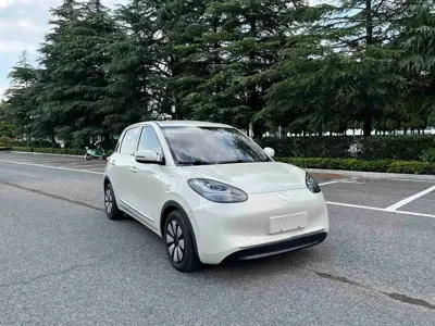 Wuling Bingo