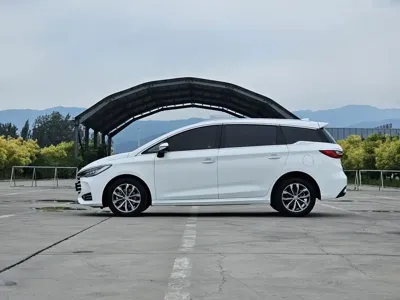 BYD MAX