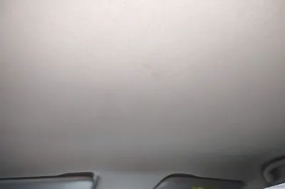NETA V