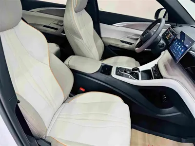 BYD Pro New Energy