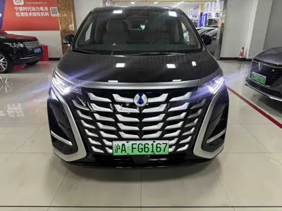 Denza Denza D9