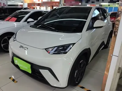 BYD Seagull