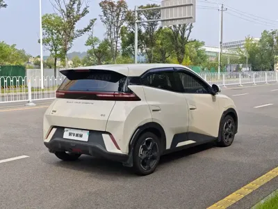 BYD Seagull