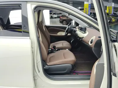 Wuling Bingo