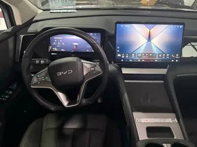 BYD M9