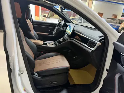 BYD PLUS