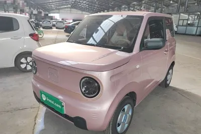 Geely Galaxy Panda