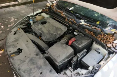 Geely Auto Binray
