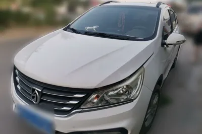 Baojun 310