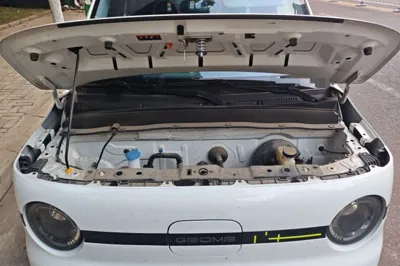 Geely Galaxy Panda