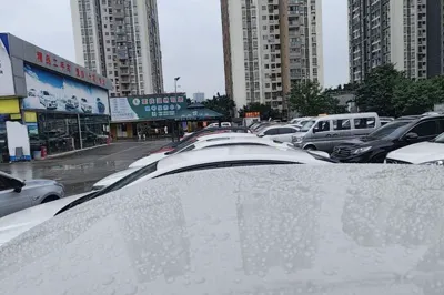 Wuling Bingo