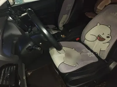BYD S7