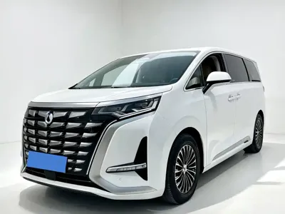 Denza Denza D9
