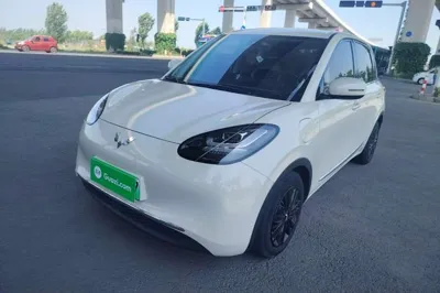 Wuling Bingo