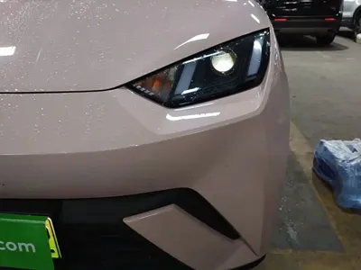 BYD Seagull