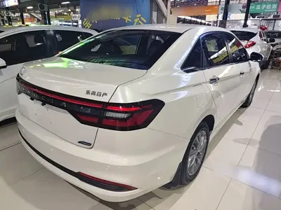 Venucia D60