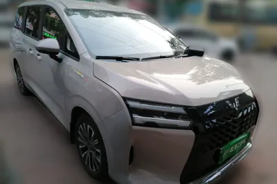 Wuling Wuling Starlight 730