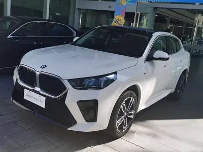 BMW X2 (Import)