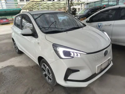 Changan Auchan Benben E-Star
