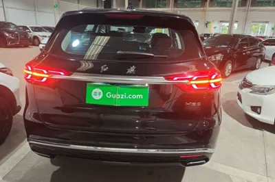 Hongqi HS5