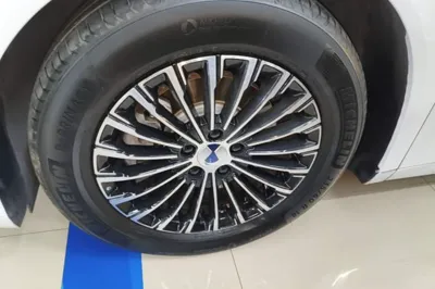 Denza D9