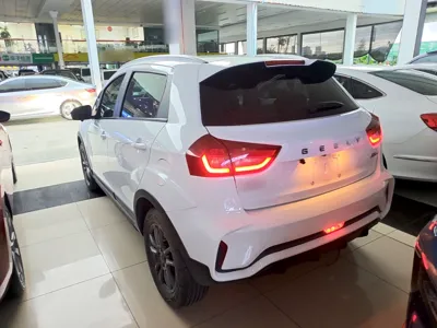 Geely Auto Vision X3