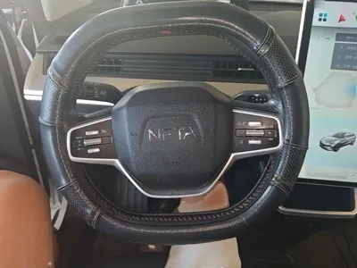 NETA Neta V